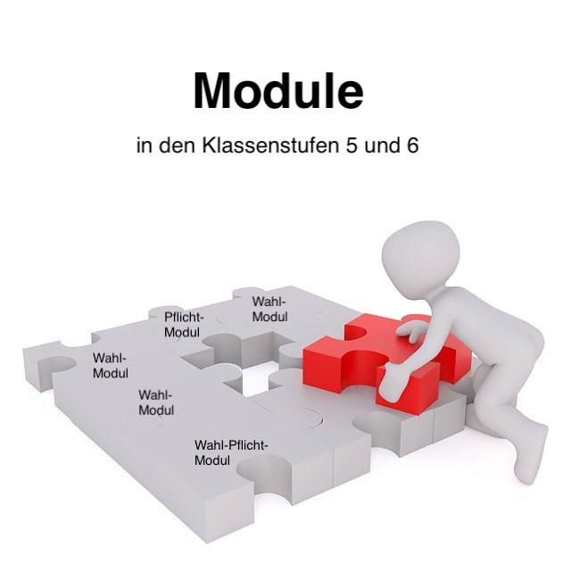 Module Puzzle 640